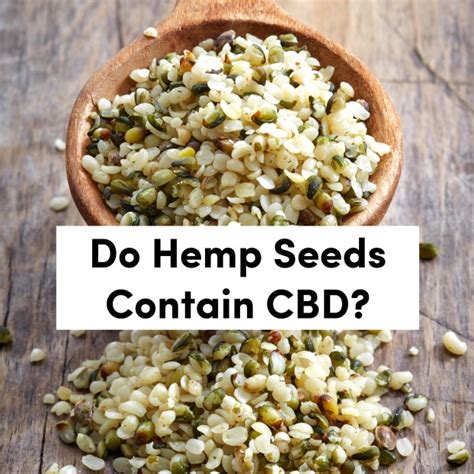 do hemp seeds contain cbd.